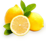 Каталог