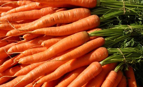 морковь чистая
