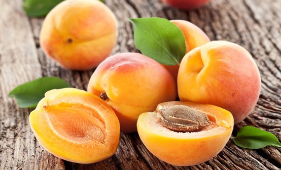 абрикосы оптом недорого