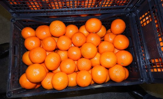 Апельсины в ящике